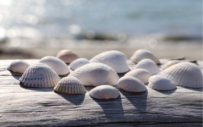 Tribotec Glad sommar!